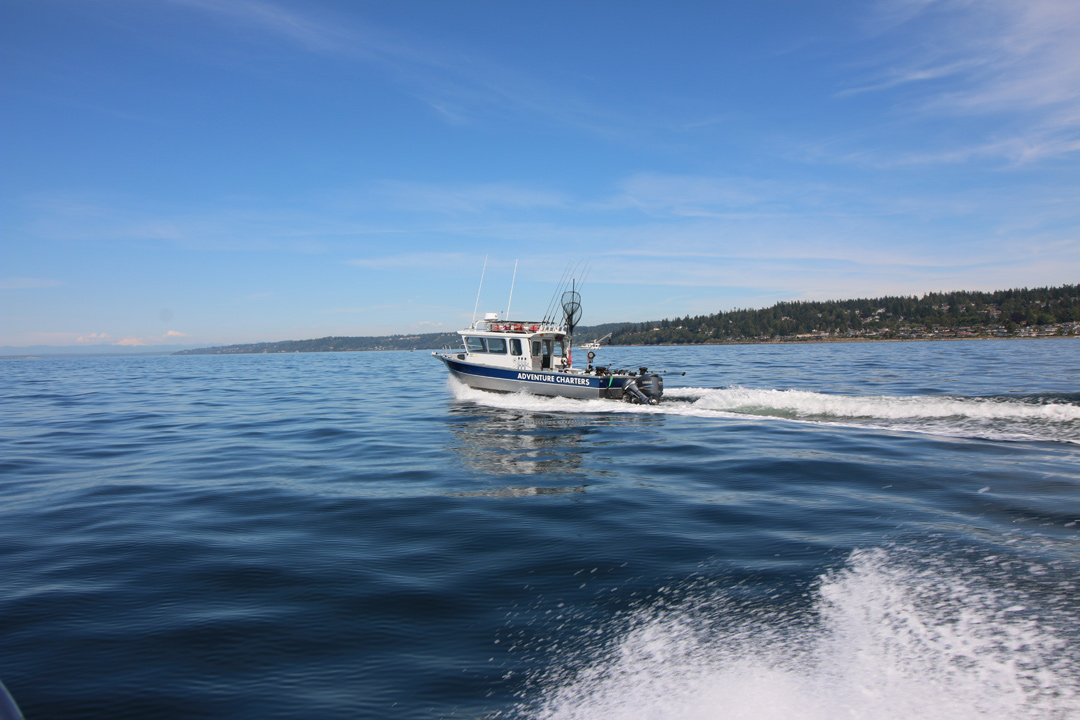 Boats & Captains