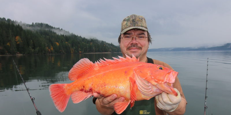 Seattle Fishing Charter Yelloweye Rockfish